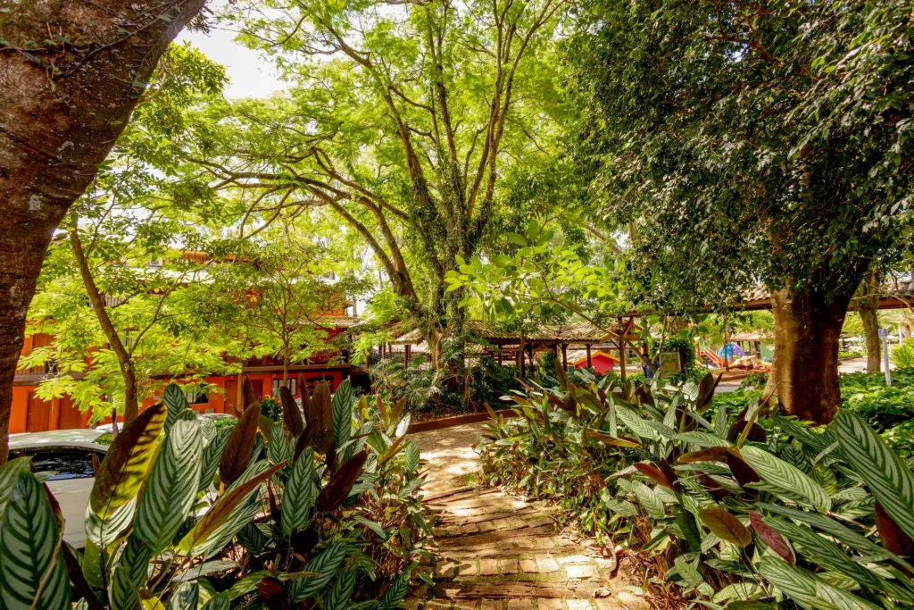 Natureza