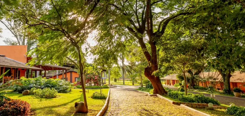 Final de Semana no Campo (3)