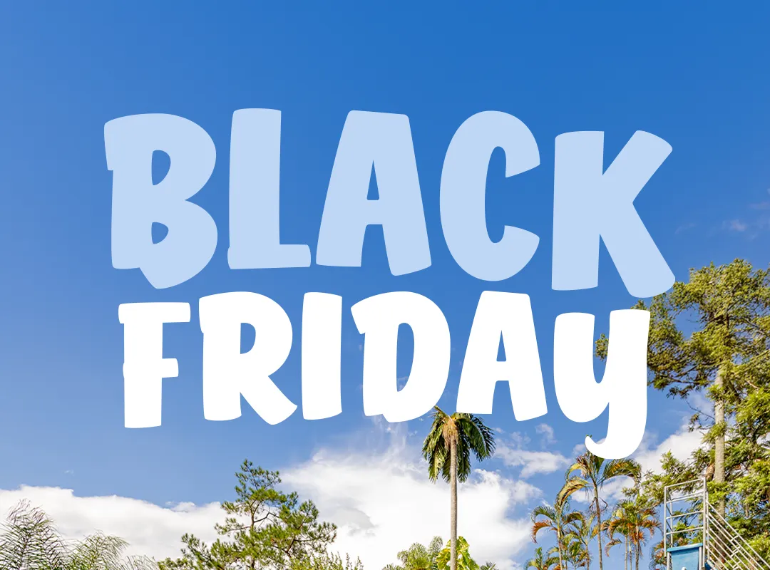 Black Friday na Fazenda